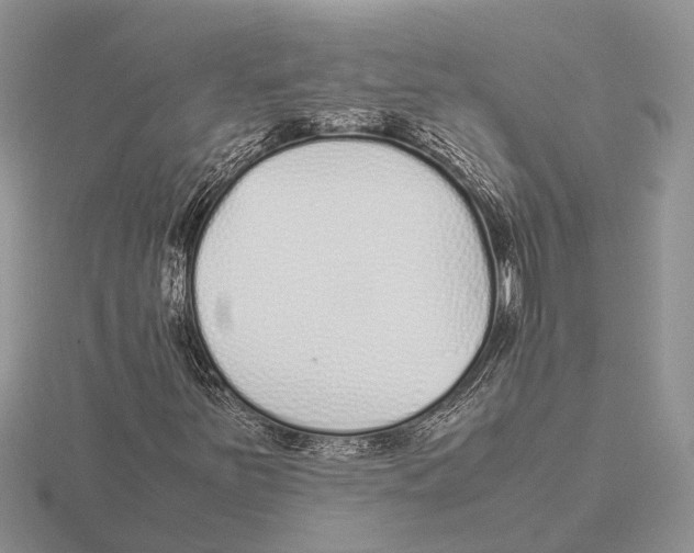 X0000115741251200912101307