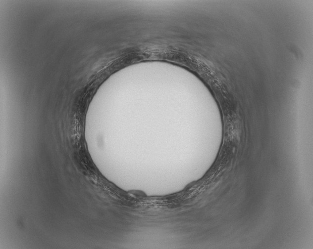 X0000115741253200912101307