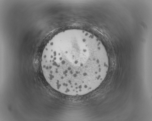 X0000115741254200912101307