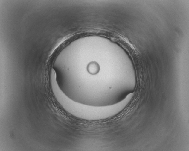 X0000115741256200912101307