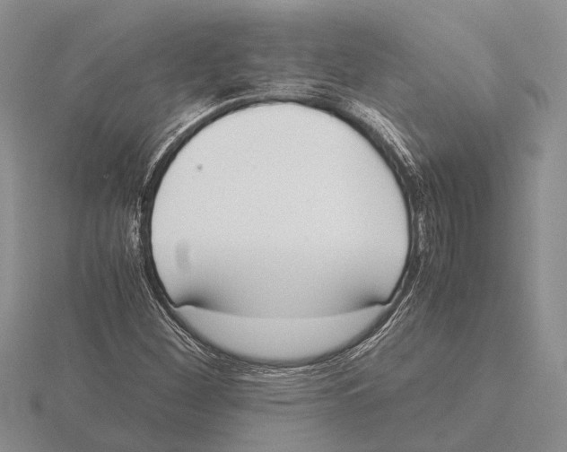 X0000115741260200912101307