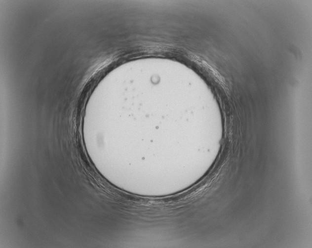 X0000115741261200912101307