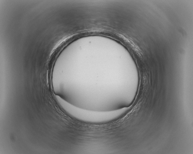 X0000115741262200912101307