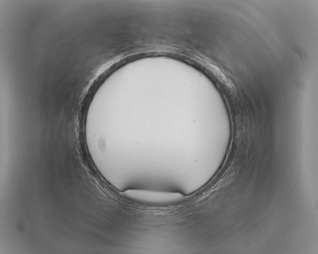 X0000115741264200912101307