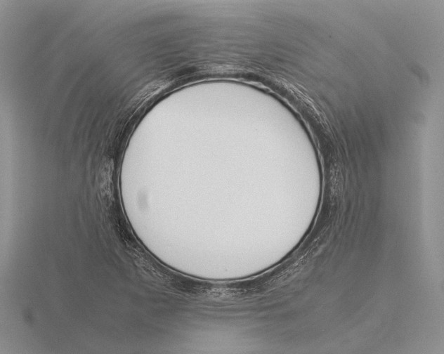 X0000115741265200912101307