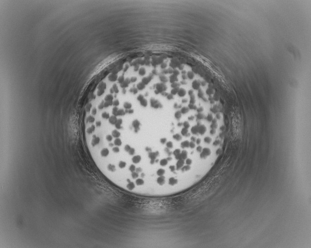 X0000115741266200912101307