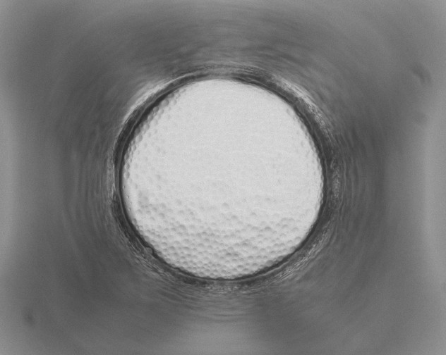 X0000115741267200912101307