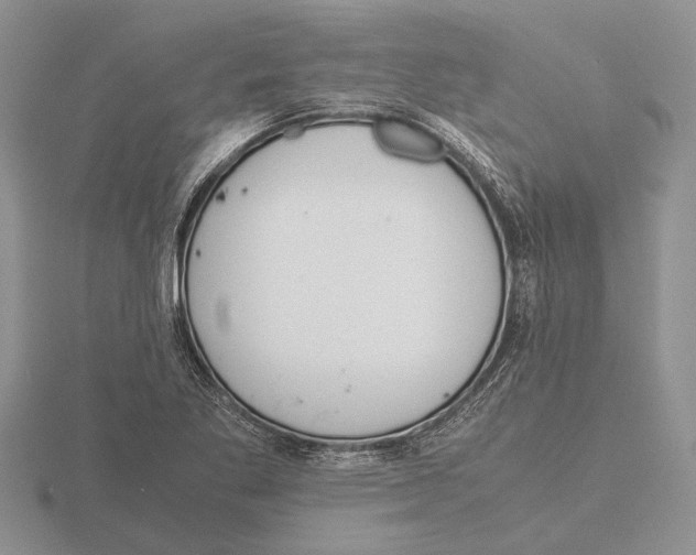 X0000115741269200912101307