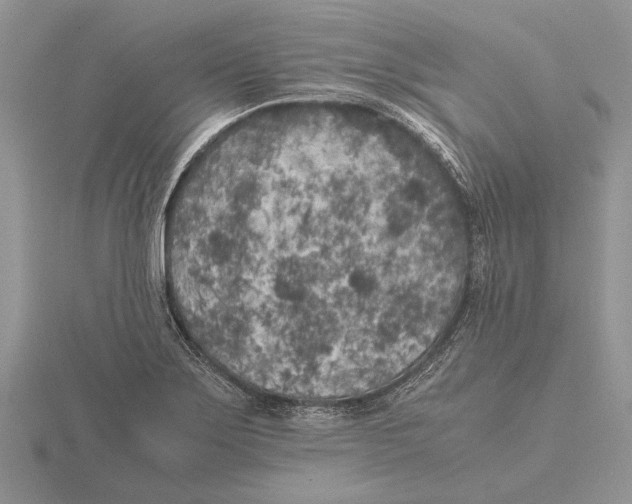 X0000115741275200912101306