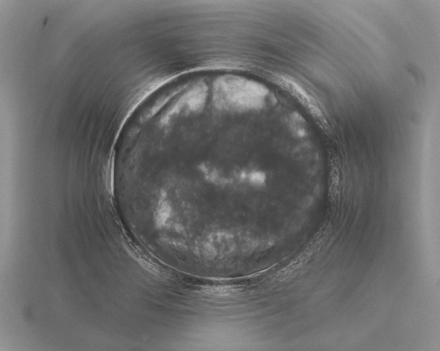 X0000115741276200912101306