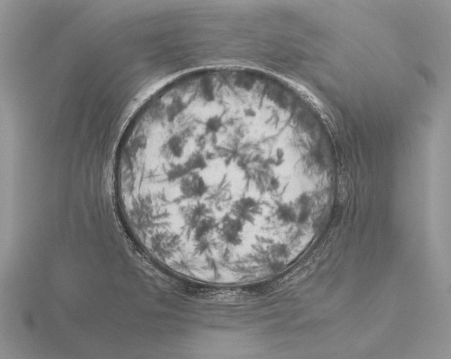 X0000115741279200912101306