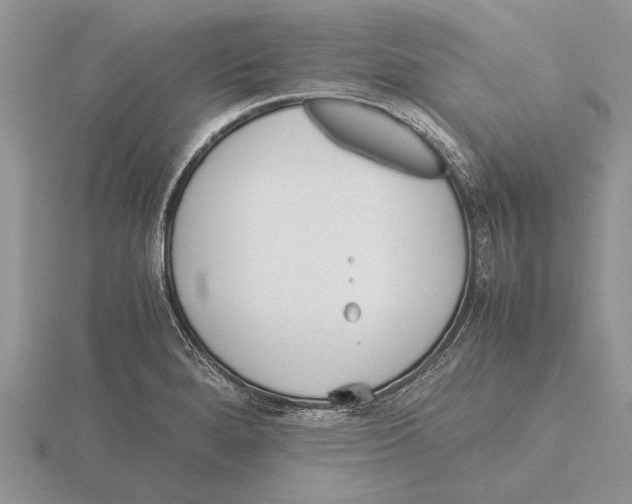 X0000115741280200912101306