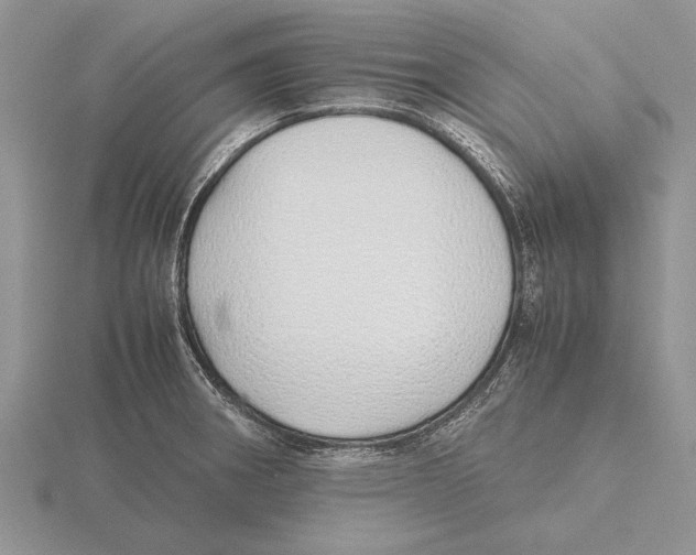 X0000115741282200912101306