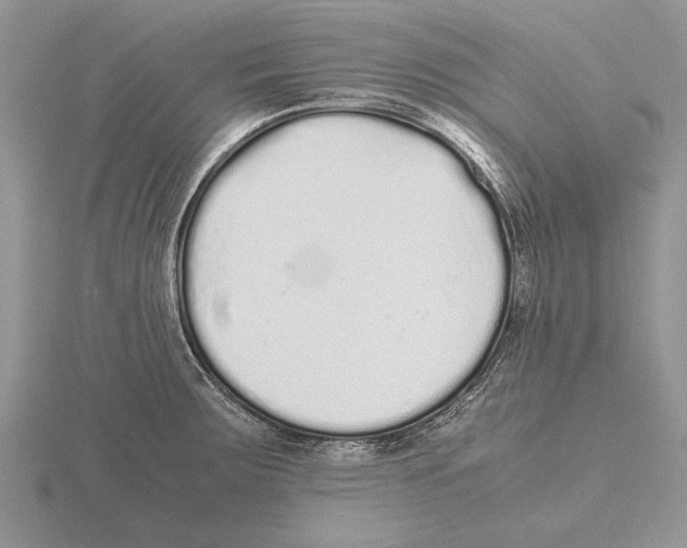 X0000115741283200912101306