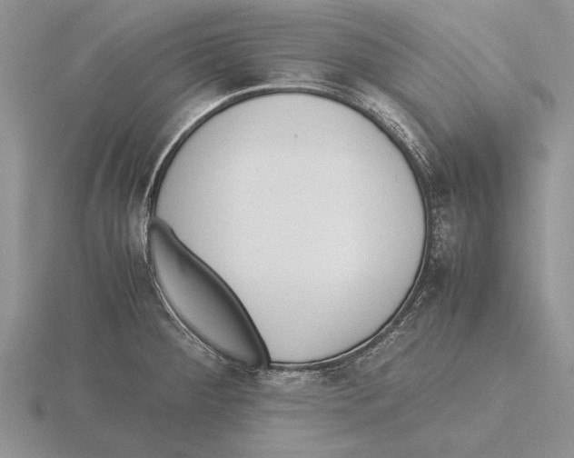 X0000115741284200912101306