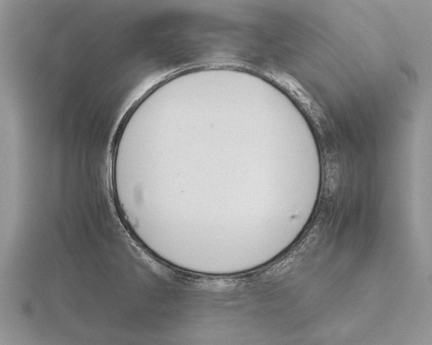 X0000115741286200912101306