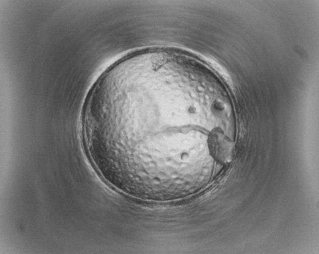 X0000115741287200912101306