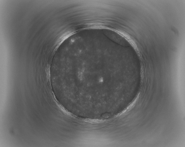 X0000115741289200912101306