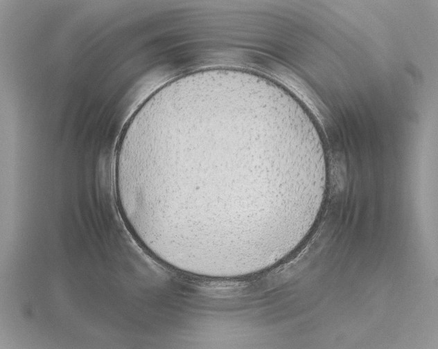 X0000115741290200912101306