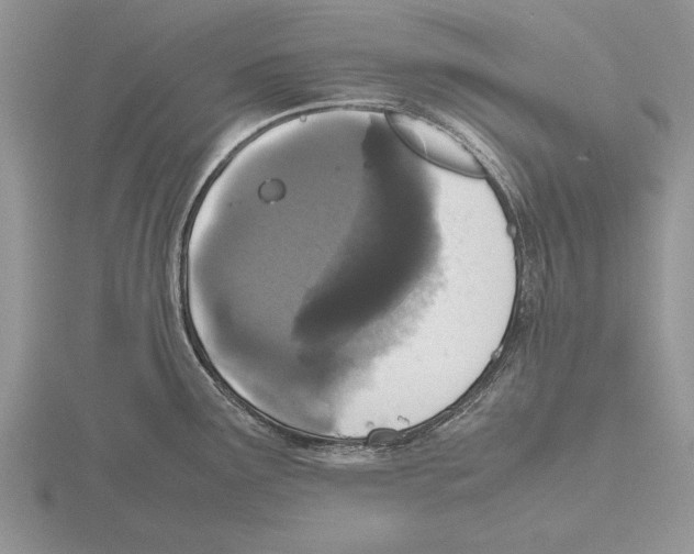 X0000115741291200912101306