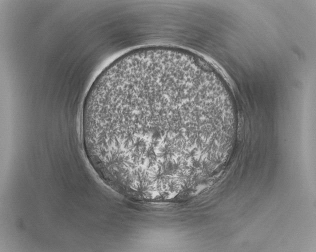 X0000115741295200912101306