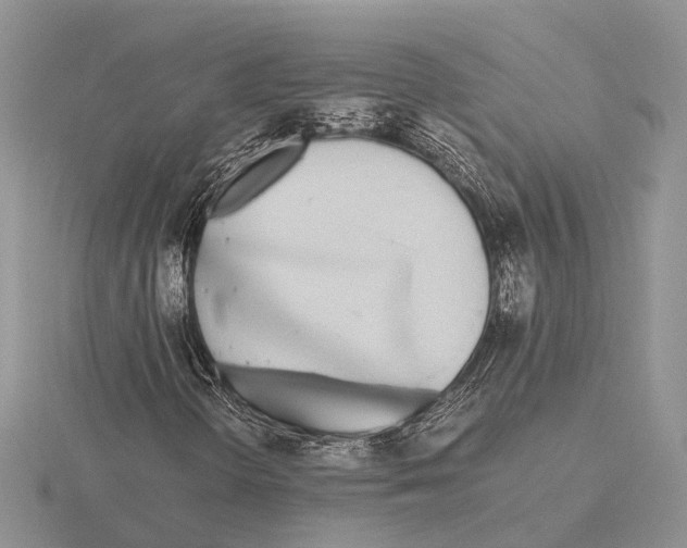 X0000115741298200912101305