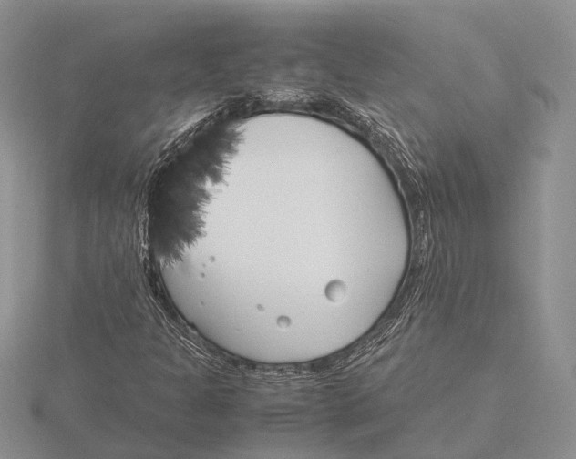 X0000115741301200912101305