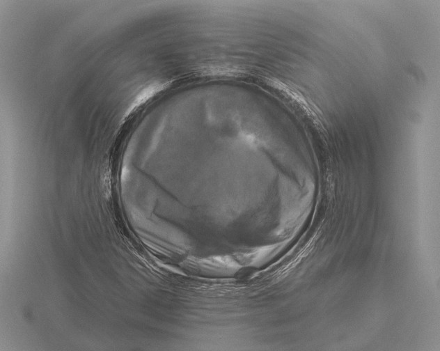 X0000115741306200912101306