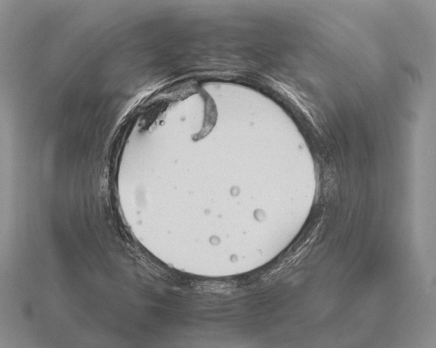 X0000115741307200912101306