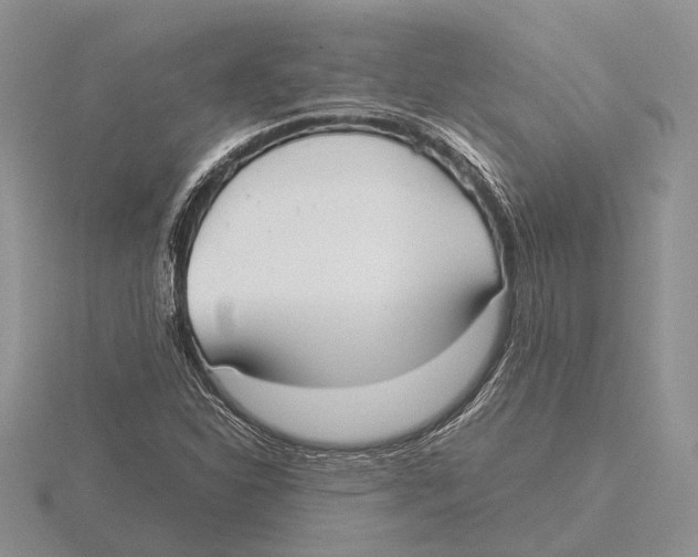 X0000115741310200912101306