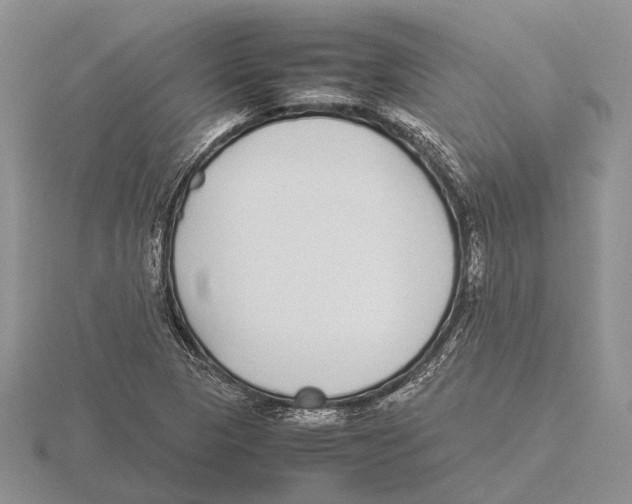 X0000115741313200912101306