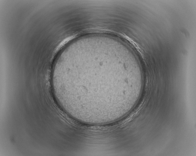 X0000115741314200912101306