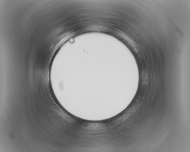 X0000115741322200912101306