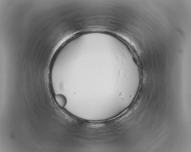 X0000115741325200912101306