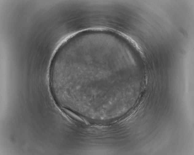 X0000115741327200912101306