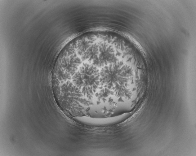 X0000115741329200912101306