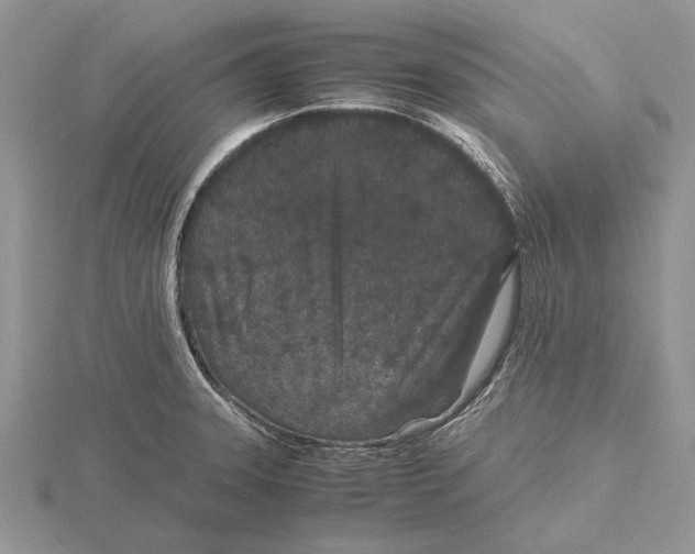 X0000115741331200912101306