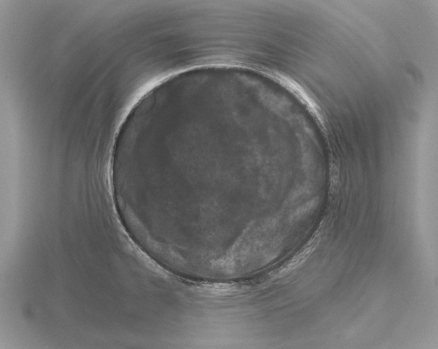 X0000115741334200912101306