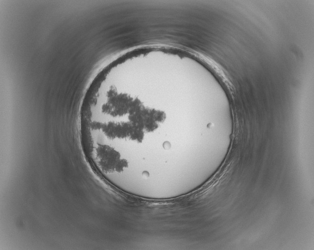 X0000115741335200912101306