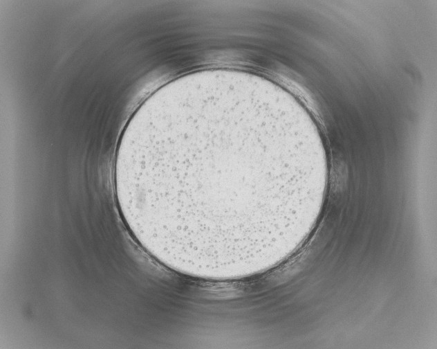 X0000115741338200912101306