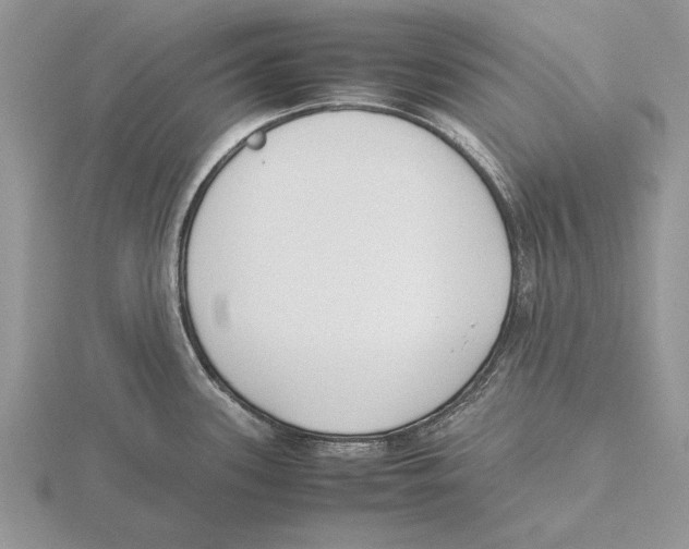 X0000115741339200912101306