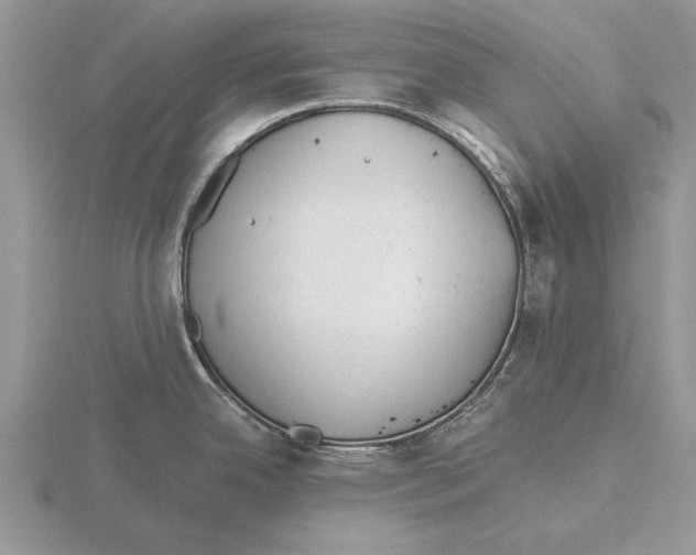 X0000115741342200912101306