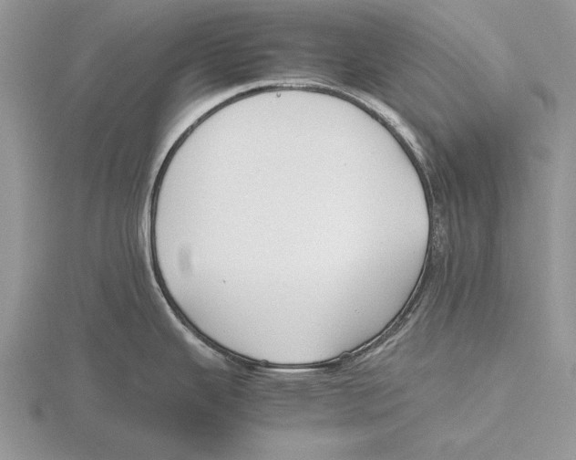 X0000115741343200912101306