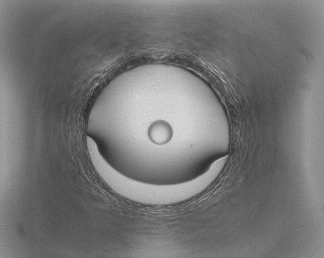 X0000115741349200912101305