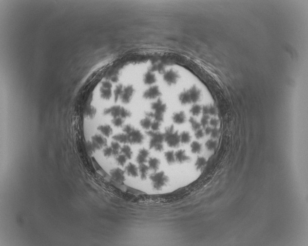 X0000115741351200912101305