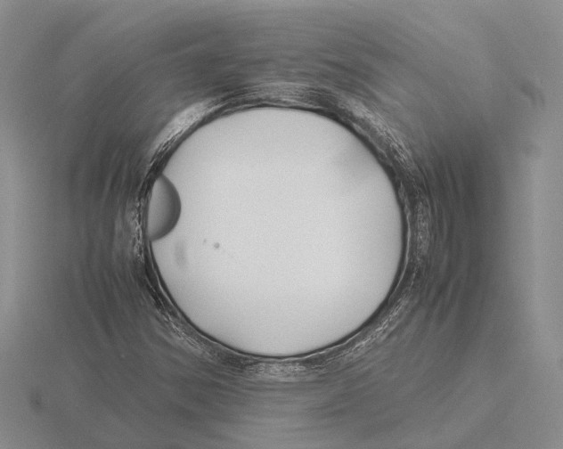 X0000115741354200912101305