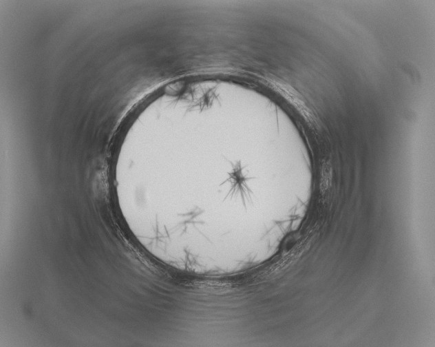 X0000115741356200912101305