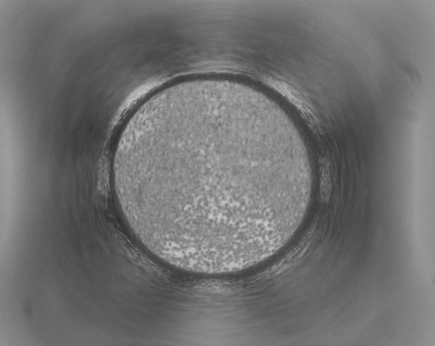 X0000115741358200912101305