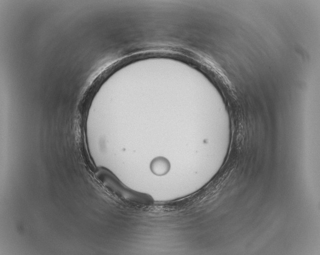 X0000115741360200912101305