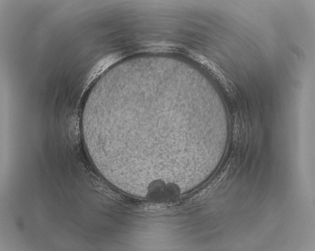 X0000115741362200912101305